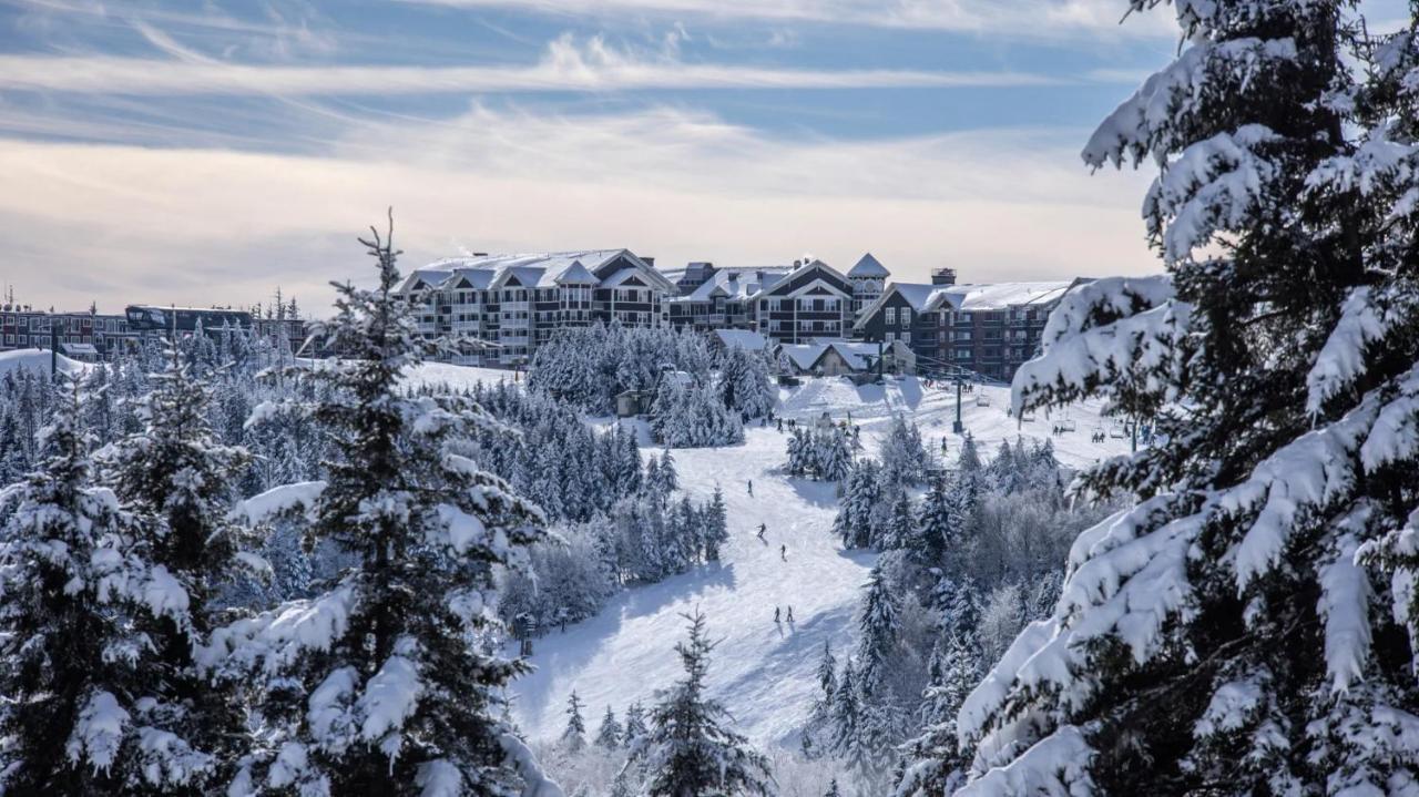 Snowshoe Ski-In & Ski-Out At Silvercreek Resort - Family Friendly, Jacuzzi, Hot Tub, Mountain Views Extérieur photo